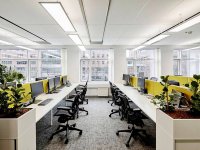 清新绿化办公室装修装饰设计效果-1553-02