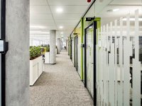 清新绿化办公室装修装饰设计效果-1553-06